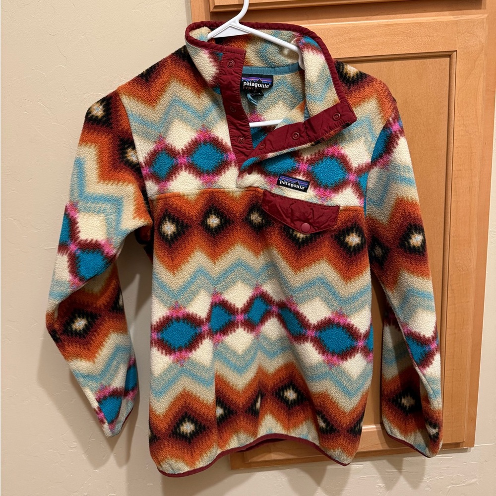 RARE Patagonia Synchilla Fleece